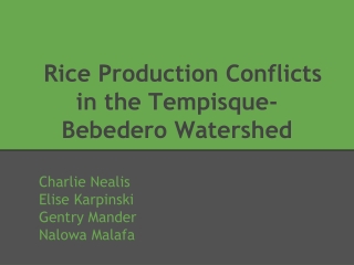 Rice Production Conflicts in the Tempisque-Bebedero Watershed