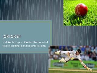 PPT - CRICKET PowerPoint Presentation, Free Download - ID:2798879