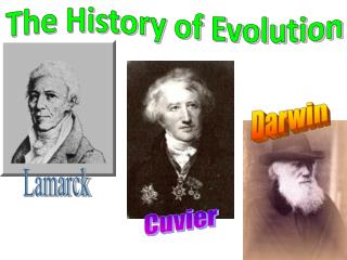 PPT - Theory of Evolution: Darwin vs. Lamarck PowerPoint Presentation