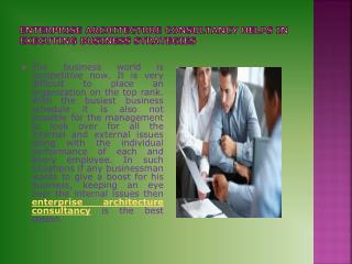 Enterprise Architecture Consultancy