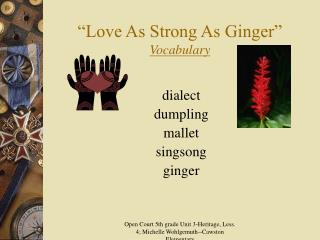 “Love As Strong As Ginger” Vocabulary