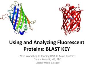 Using and Analyzing Fluorescent Proteins: BLAST KEY