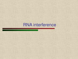 PPT - RNA interference PowerPoint Presentation, free download - ID:280801