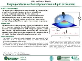 Imaging of electromechanical phenomena in liquid environment