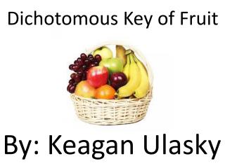 Dichotomous Key of Fruit