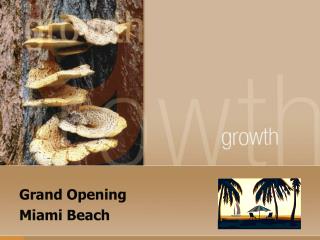 Grand Opening Miami Beach