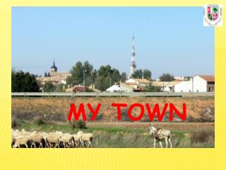 MY TOWN
