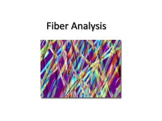 Fiber Analysis