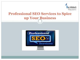 Professional SEO Services