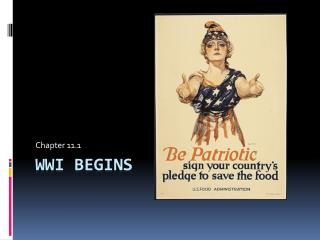 WWI Begins