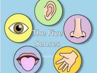 PPT - The Five Senses PowerPoint Presentation, free download - ID:2824029