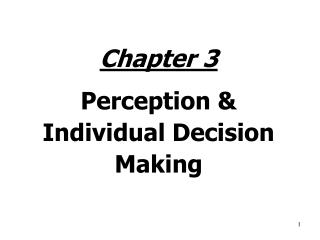 Chapter 3 Perception & Individual Decision Making