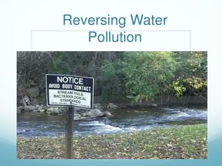 Reversing Water Pollution