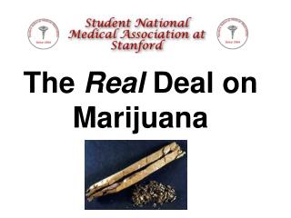 The Real Deal on Marijuana