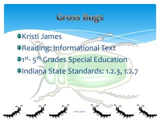 Gross Bugs