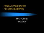 HOMEOSTASIS and the PLASMA MEMBRANE