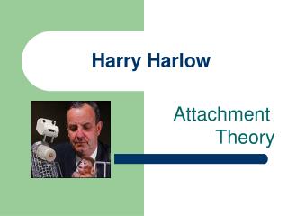 PPT - Attachment Theory: The work of Harry Harlow PowerPoint ...