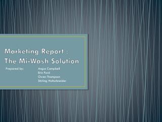 Marketing Report : The Mi -Wash Solution