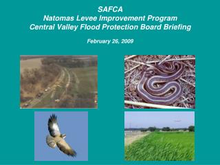 SAFCA Natomas Levee Improvement Program Central Valley Flood Protection Board Briefing February 26, 2009
