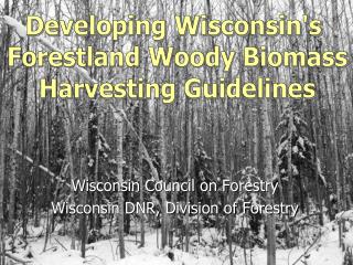 Wisconsin Council on Forestry Wisconsin DNR, Division of Forestry