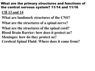 What are the primary structures and functions of the central nervous system? 11/14 and 11/16