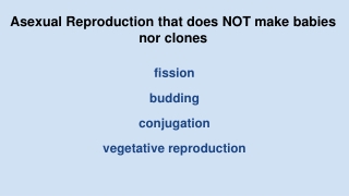 Asexual Reproduction that does NOT make babies nor clones