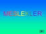 MESLEKLER