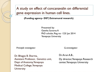 A study on effect of concanavalin on differential gene expression in human cell lines.