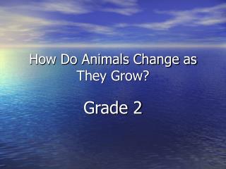 How Do Animals Change as They Grow?