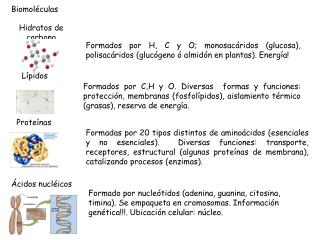 Biomoléculas