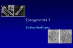 Cytogenetics 2 Sioban SenGupta