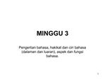 MINGGU 3