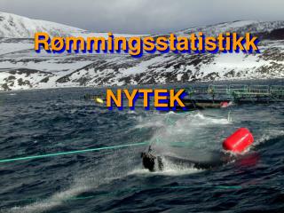 Rømmingsstatistikk NYTEK