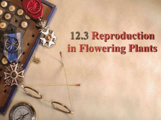 12.3 Reproduction in Flowering Plants