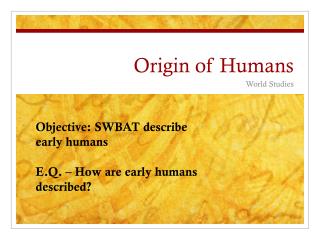 humans origin