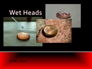 Wet Heads