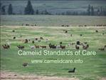 Camelid Standards of Care camelidcare