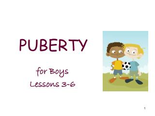 PPT - PUBERTY PowerPoint Presentation, Free Download - ID:2882851