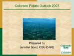 Colorado Potato Outlook 2007