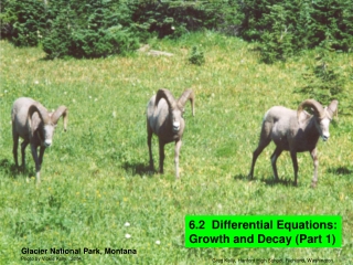 6.2 Differential Equations: Growth and Decay (Part 1)