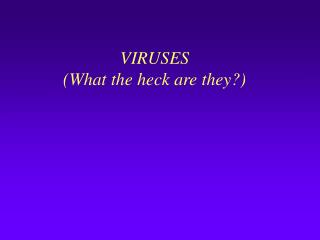 VIRUSES (What the heck are they?)