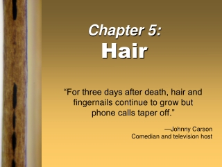 Chapter 5: Hair