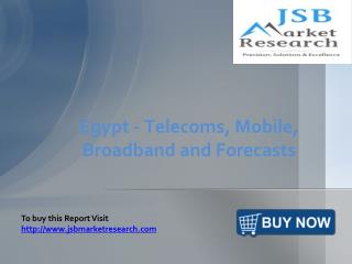 Egypt - Telecoms, Mobile, Broadband and Forecasts