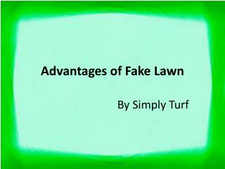 Advantages of Fake Lawn