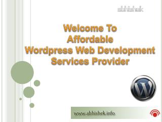 Professional Wordpress Website Developer India