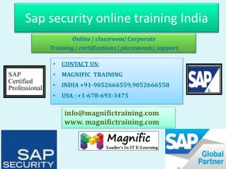 sap security online training in uk