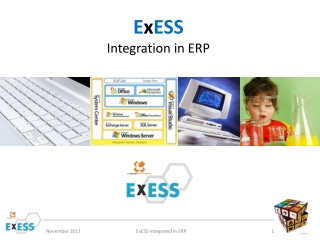 E x ESS Integration in ERP