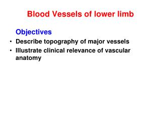 Blood Vessels of lower limb