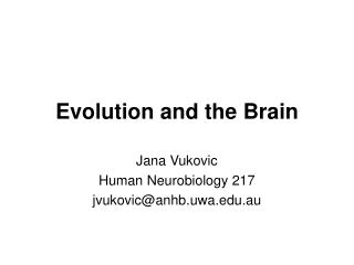 PPT - Evolution and the Brain PowerPoint Presentation, free download