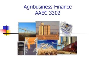 Agribusiness Finance AAEC 3302